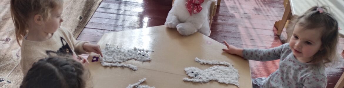 IMG_20230309_103945 IMG_20230309_103945